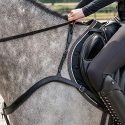 Collier de chasse avec poignée QHP