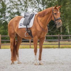 Tapis de selle numéro