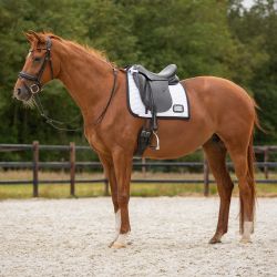 Tapis de selle numéro