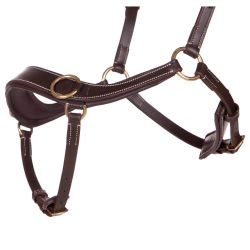 Bridon sans mors anatomique QHP