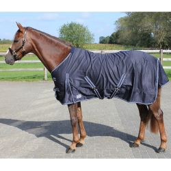 Chemise coton Basic Q-Essentials