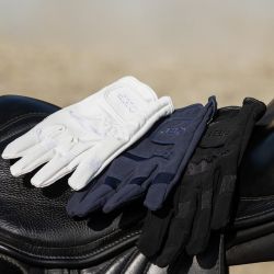 Gants multi Q-essentials