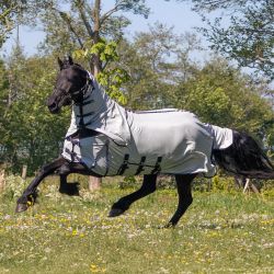 Chemise anti-mouches avec cou et masque Big Neck