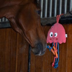 Jouet pour cheval Méduse Eskadron SS25