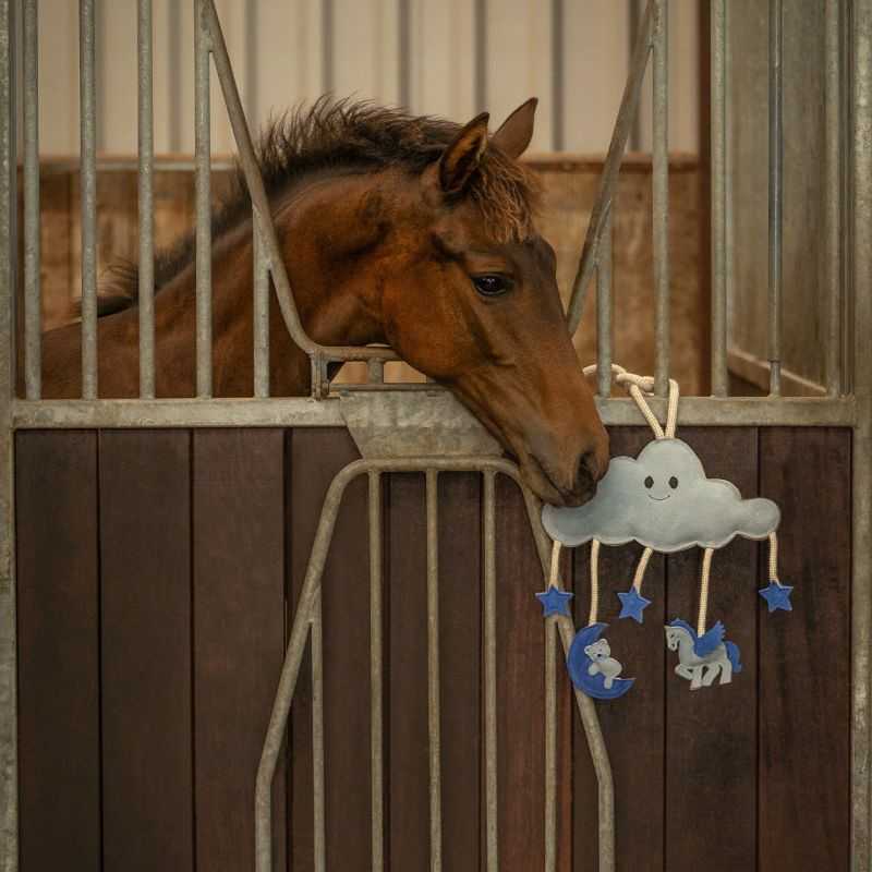Jouet pour Chevaux Novy Jouet pour Chevaux Novy