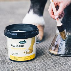 Pedigard Blond Ravene - 1L