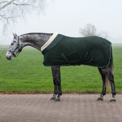 Polaire brilliance QHP