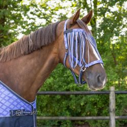 Frontal chasse-mouches Collection QHP