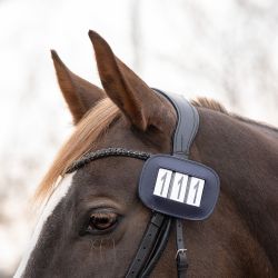 Porte Numéro Modeste QHP