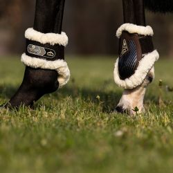 Protège Boulet Young Jump Absolute Carbon Gel Save the Sheep