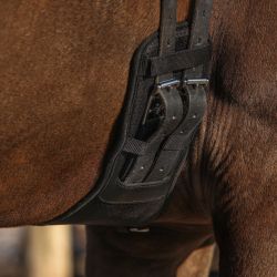 Sangle de dressage Air Mesh QHP