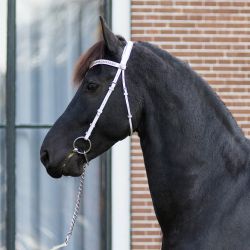 Bridon de présentation Luxe QHP