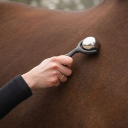 Rouleau de massage chevaux QHP