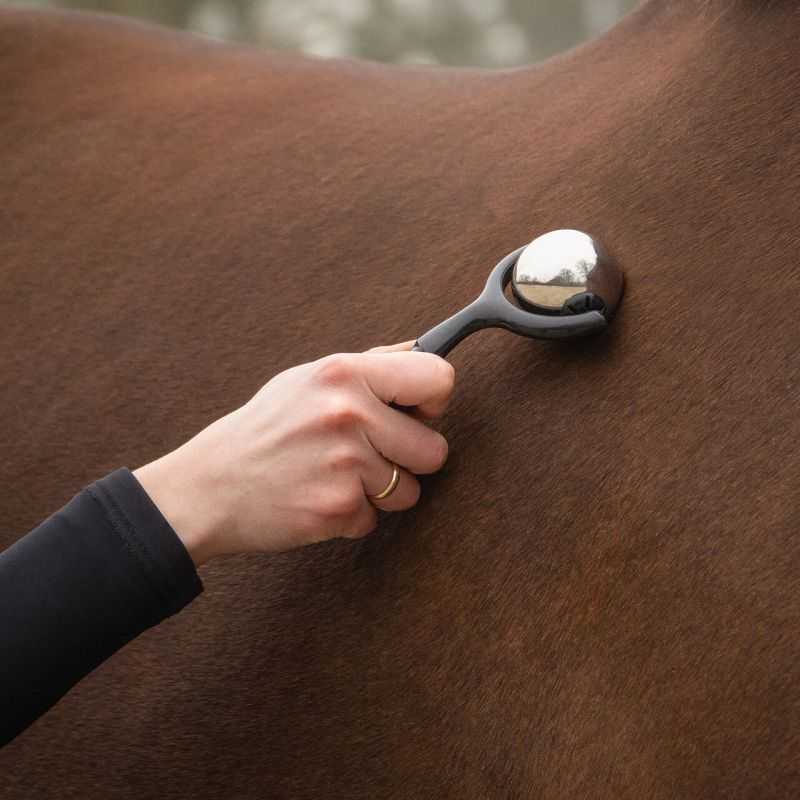 Rouleau de massage chevaux QHP Rouleau de massage chevaux QHP
