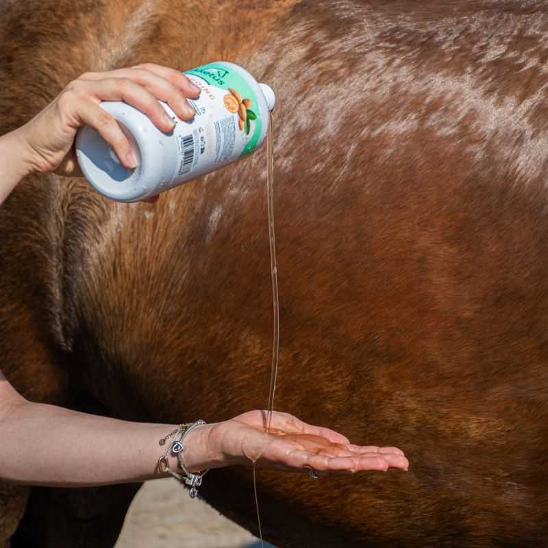 Shampoing Soin Aketus Shampoing Soin Aketus