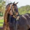 Bridon Sedna QHP