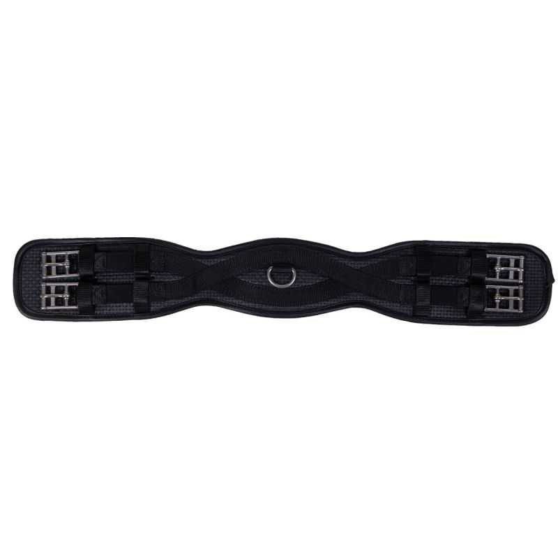 Sangle de dressage Basic Pro QHP