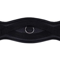 Sangle de dressage Basic Pro QHP