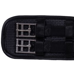 Sangle de dressage Basic Pro QHP