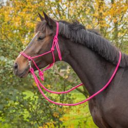 Licol corde Color avec rênes Q-Essentials