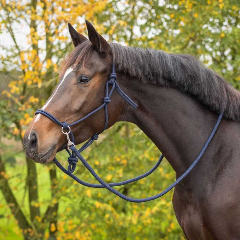 Licol En Nylon Pour Cheval, Style Western, Couleur Noire, Avec Corde
