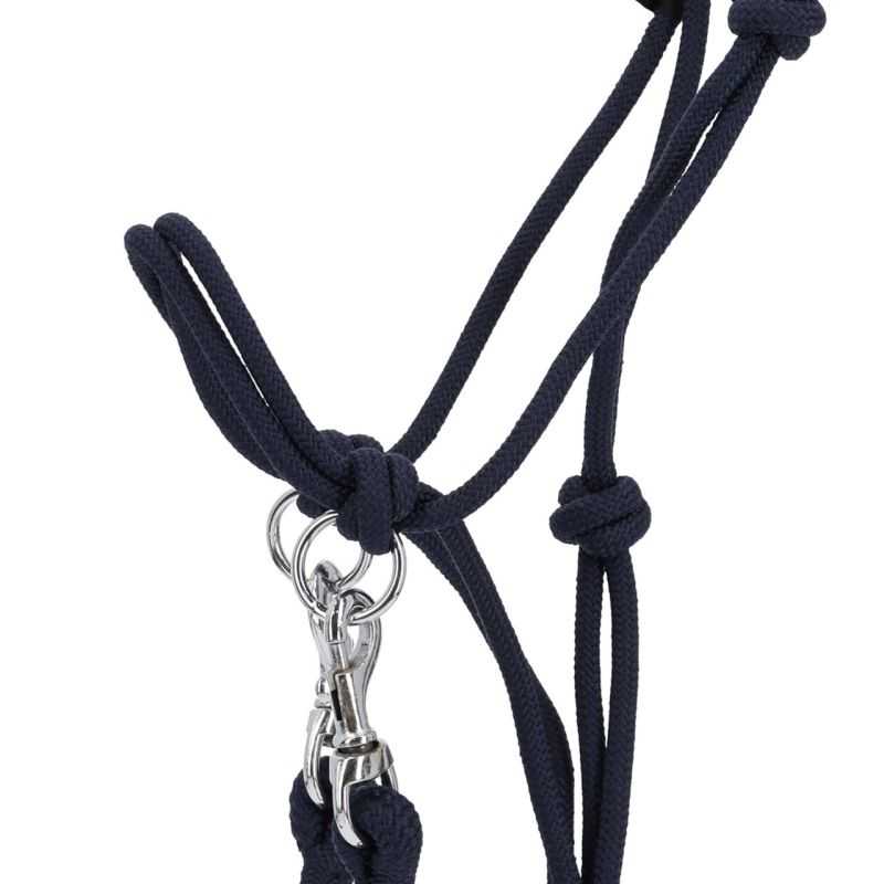 QHP Licol à Nœuds Avec Rênes Et Corde De Cou – Décorations Perles Amovibles, Nylon Résistant, Livré Dans Sa Pochette Zippée – Complet Fuchsia