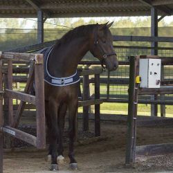 Couvre-reins de marcheur 0gr QHP