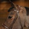 Bridon Pull Back Edges HFI