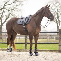 Tapis de selle Sensisoft QHP