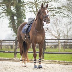 Tapis de selle Sensisoft QHP