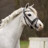 Bridon poney Brixie QHP