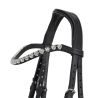 Bridon poney Brixie QHP
