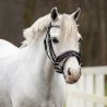 Bridon poney Brixie QHP