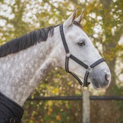 Ensemble licol + longe turnout Collection QHP