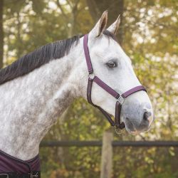 Ensemble licol + longe turnout Collection QHP