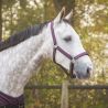 Ensemble licol + longe turnout Collection QHP