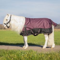 Couverture d'extérieur Falabella Turnout Collection 50g QHP