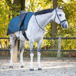 Couvre-reins imperméable doublé polaire Turnout Collection QHP