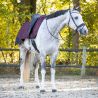 Couvre-reins imperméable doublé polaire Turnout Collection QHP
