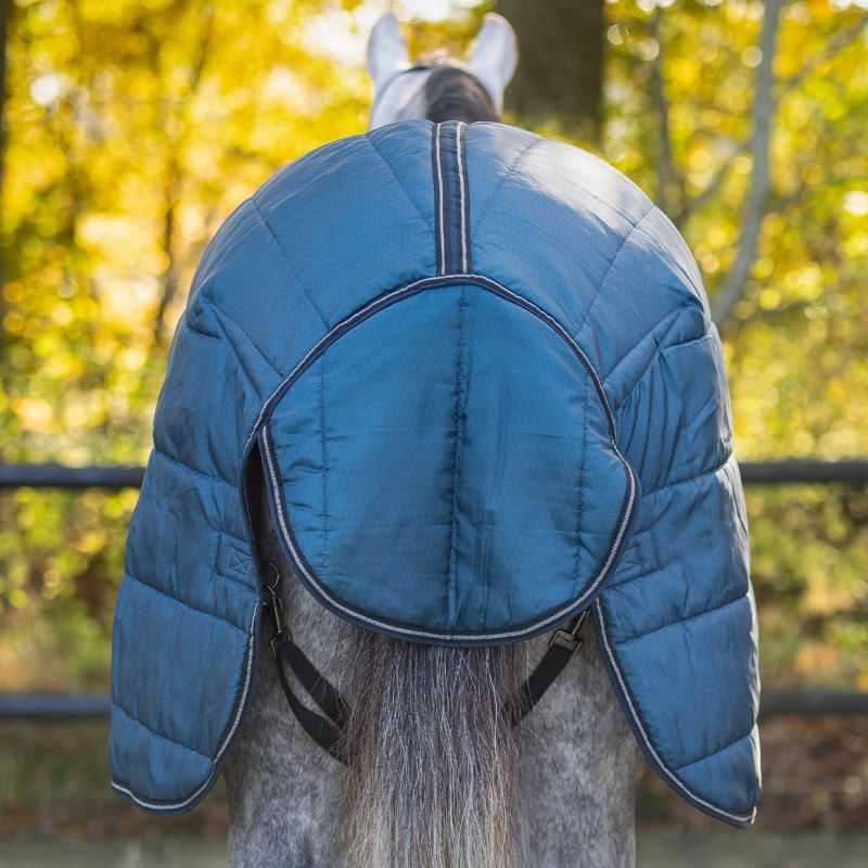 Couverture Box Cheval Antarès 650g Laine Merino - Le Paturon