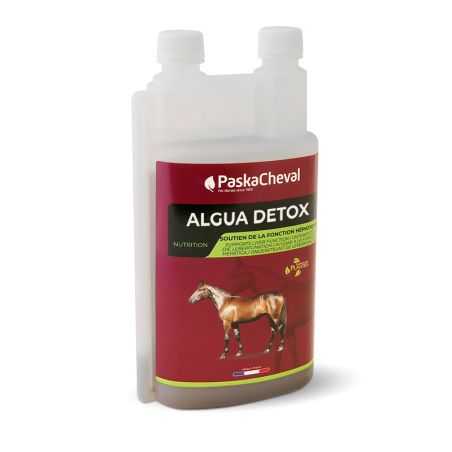 Algua Detox Paskacheval