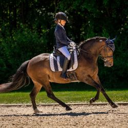 Veste de concours Junior Kae QHP