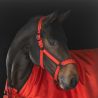 Licol Sparkle double pin Dynamic Eskadron