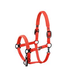 Licol Sparkle double pin Dynamic Eskadron