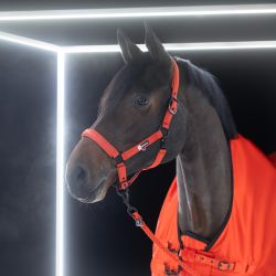 Licol Sparkle double pin Dynamic Eskadron