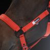 Licol Sparkle double pin Dynamic Eskadron