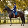 Pantalon femme Lymee Softshell Full grip QHP