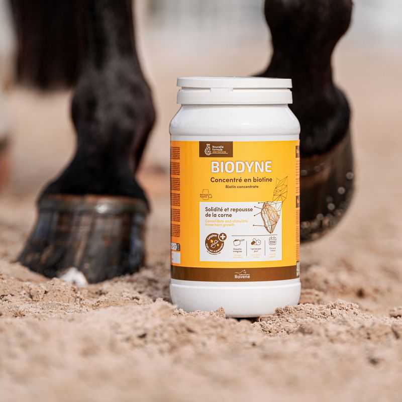 Biodyne Ravene - Action biotine renforcée Biodyne Ravene - Action biotine renforcée