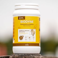 Biodyne Ravene - Action biotine renforcée