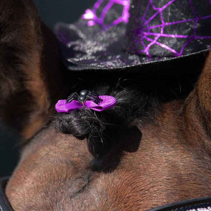 Noeuds de crinière Halloween QHP (x10)